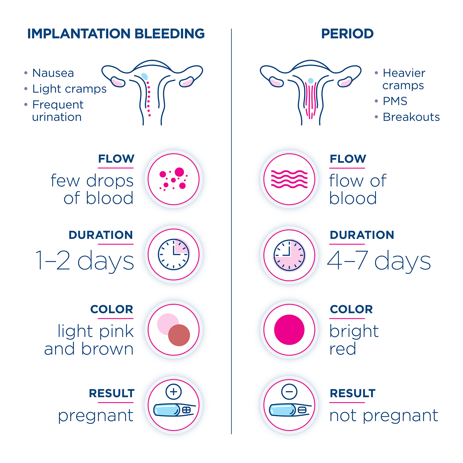 All You Need To Know About Implantation Bleeding Clearblue