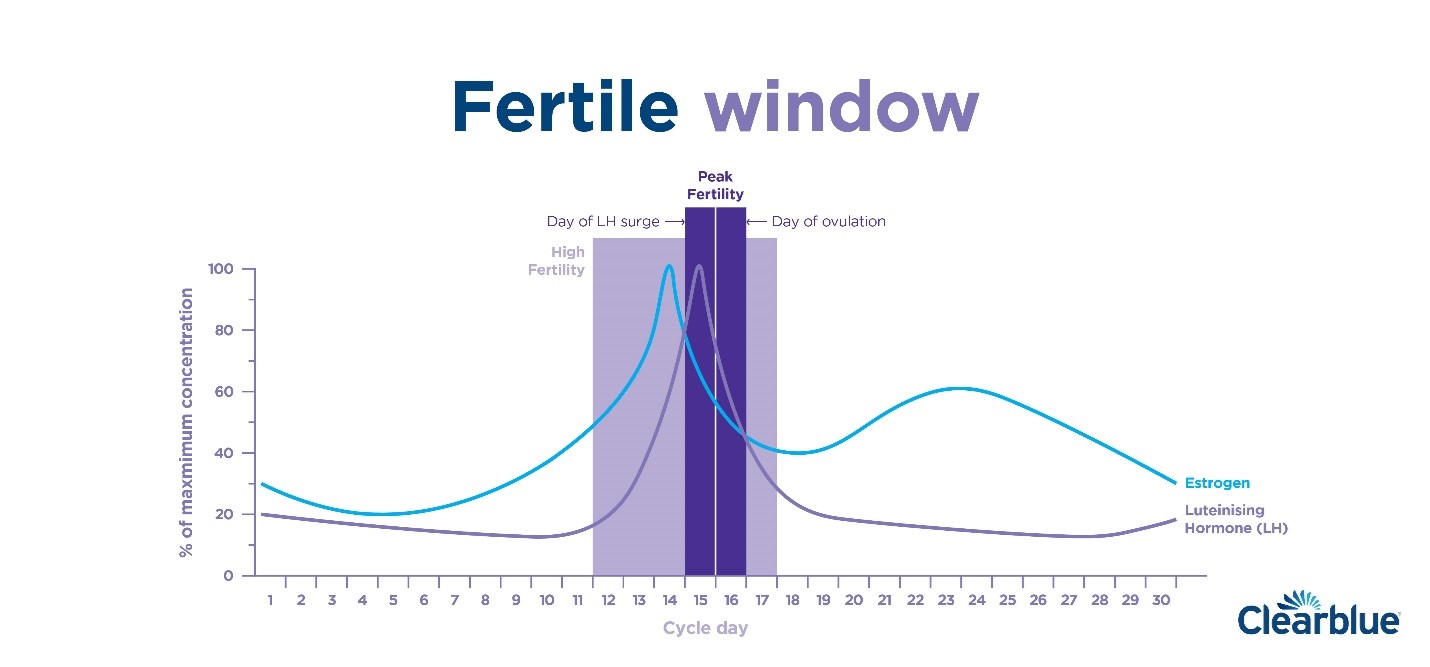 PDF] A fixed formula to define the fertile window of the menstrual