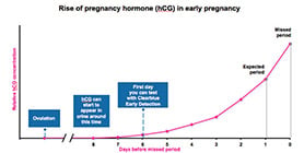 Breasts Tender Before Missed Period: Early Pregnancy Sign? - WeHaveKids