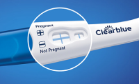 hCG levels: all you need to know - Clearblue